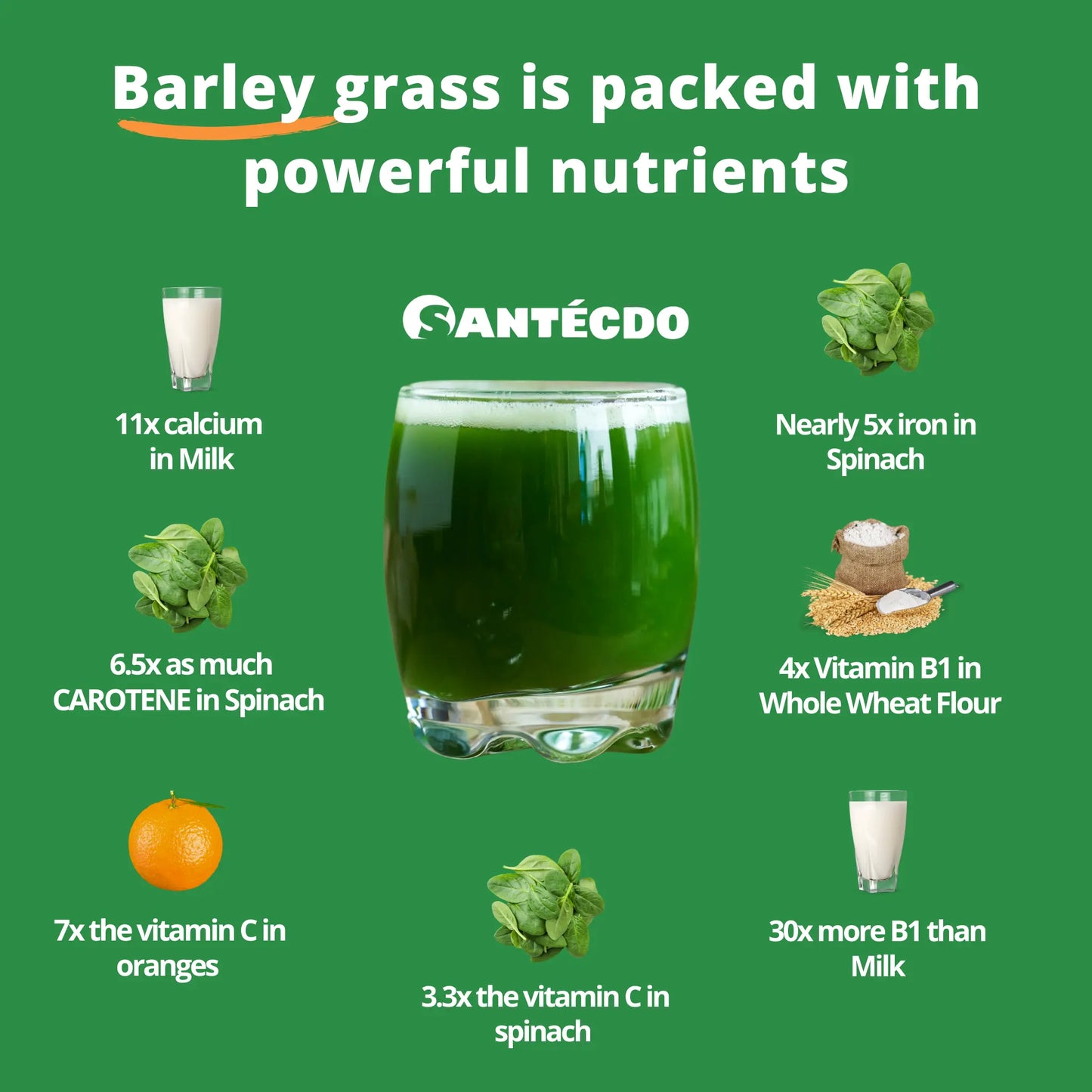 Santé Barley Powder in Canister (Plain)