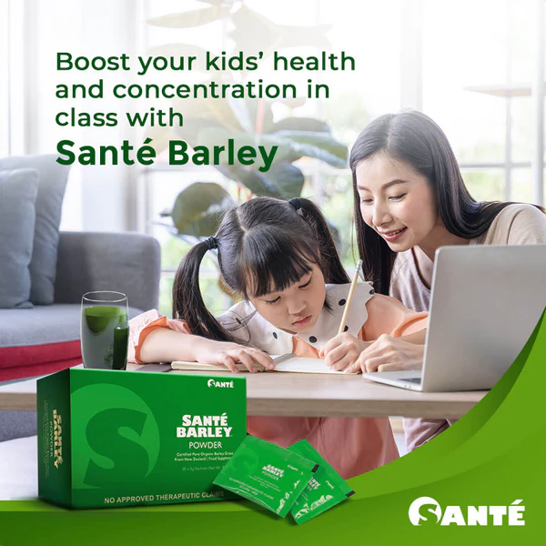 Santé Barley Powder in Box (30 Sachets)