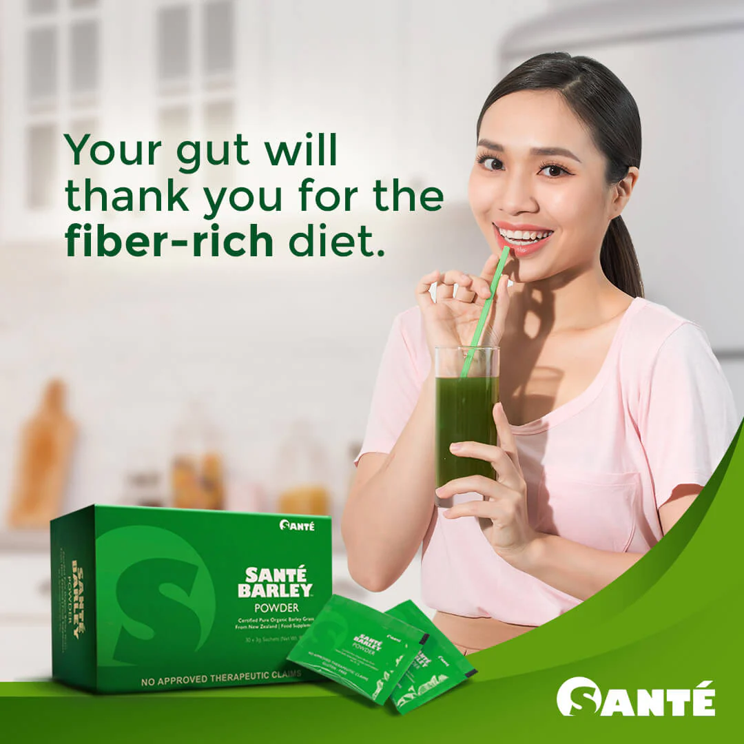 Santé Barley Powder in Box (30 Sachets)